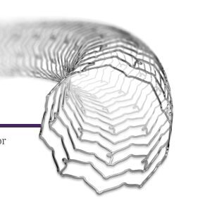 XIENCE Stent, Abbott