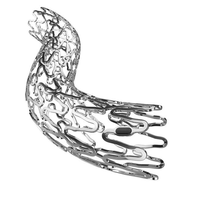 UNITY-B Percutaneous Balloon Expandable Biodegradable Biliary Stent