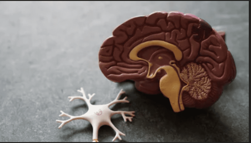 How To Properly Deal With A Brain Injury And Recover Faster