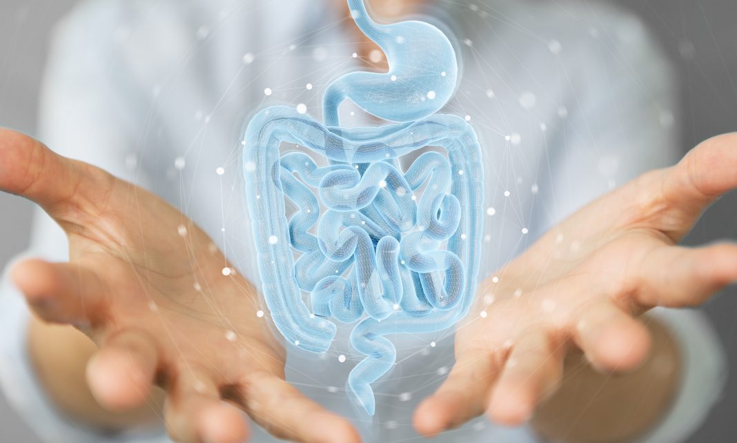 Can Gut Microbiomes Affect Mental Health: 5 Things To Know article