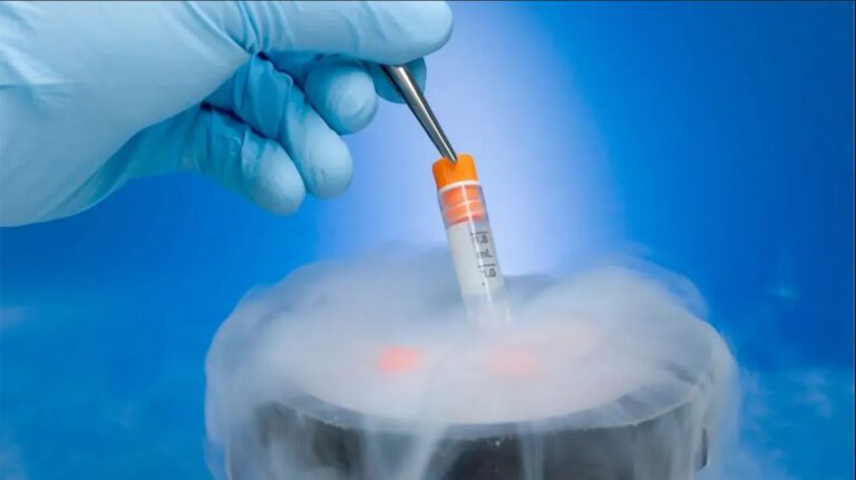 Here’s What You Need to Know About Cryopreservation