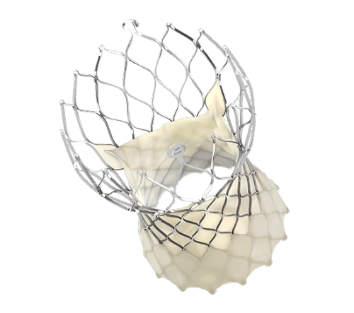 Evolut™ PRO TAVR System