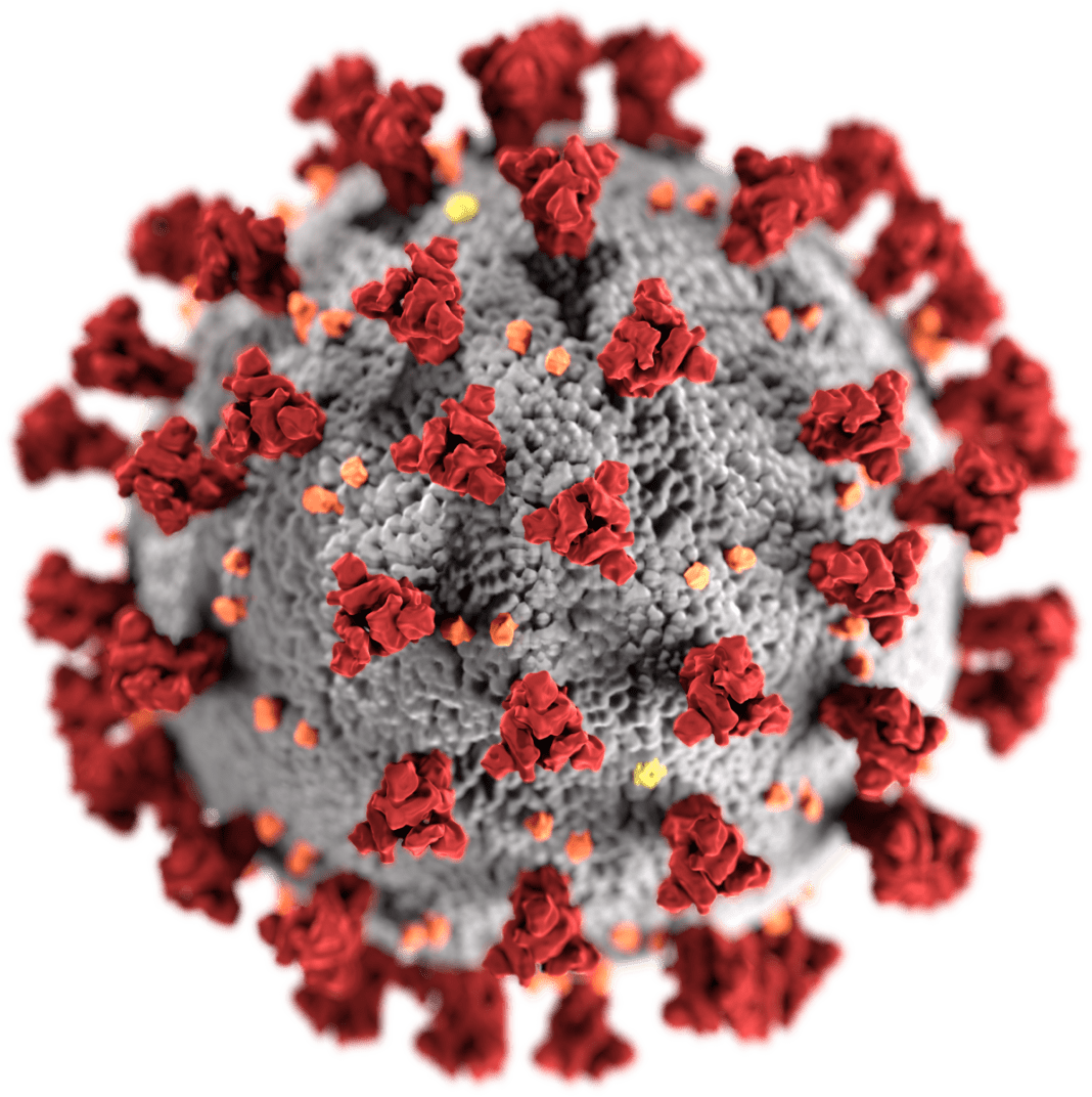 Digital Verification of Covid-19 guide