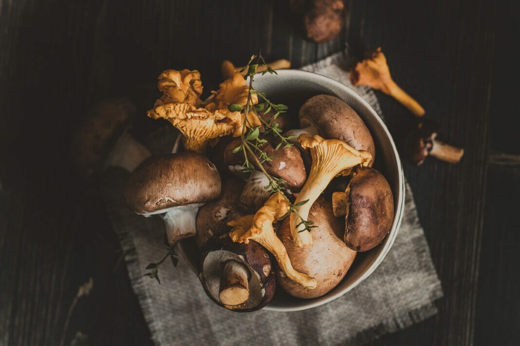 4 Health Benefits Of Edible Mushrooms