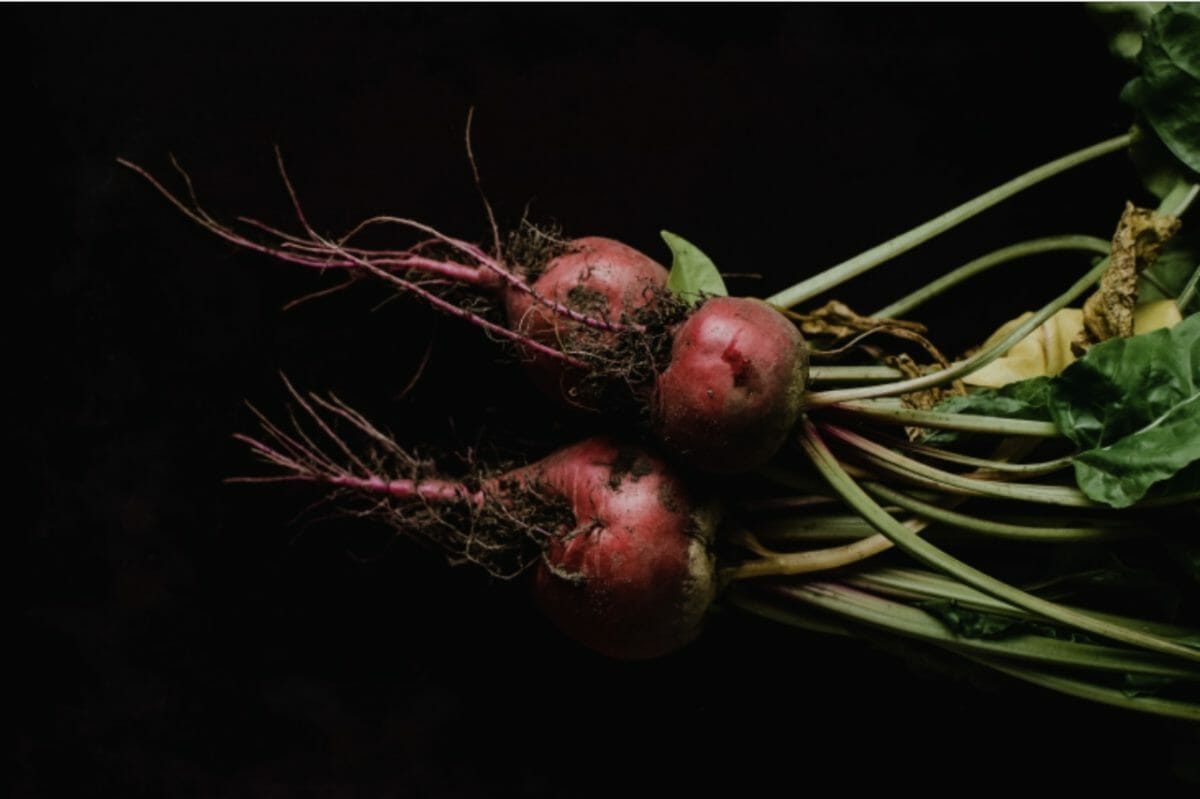 Beetroot Powder