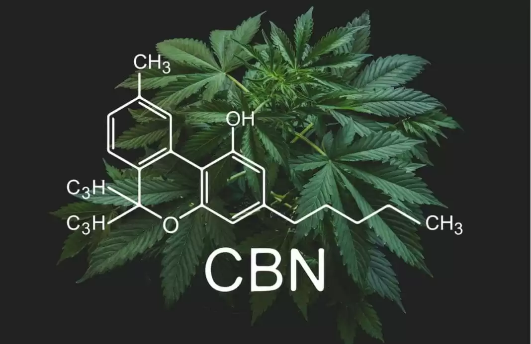 CBN Cannabinoid