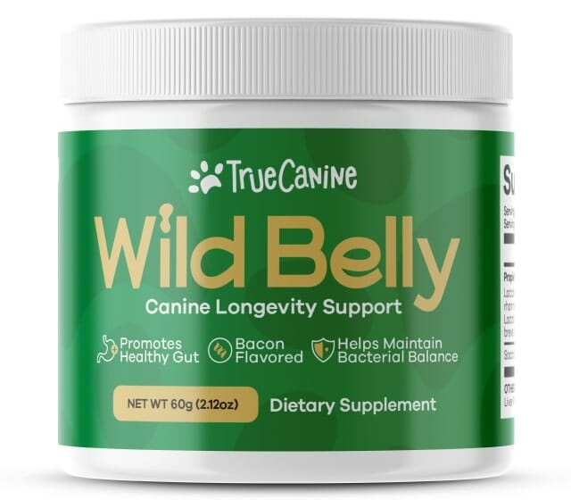 wild belly dog probiotic