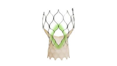 Evolut ™ FX+ TAVR system