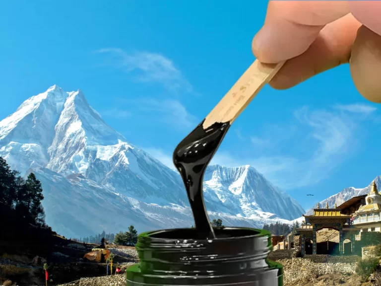 Shilajit: Rediscovering Nature’s Ancient Miracle in Today’s World